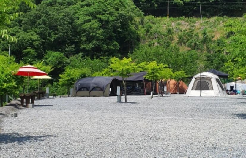 두더지CAMP 사진 16