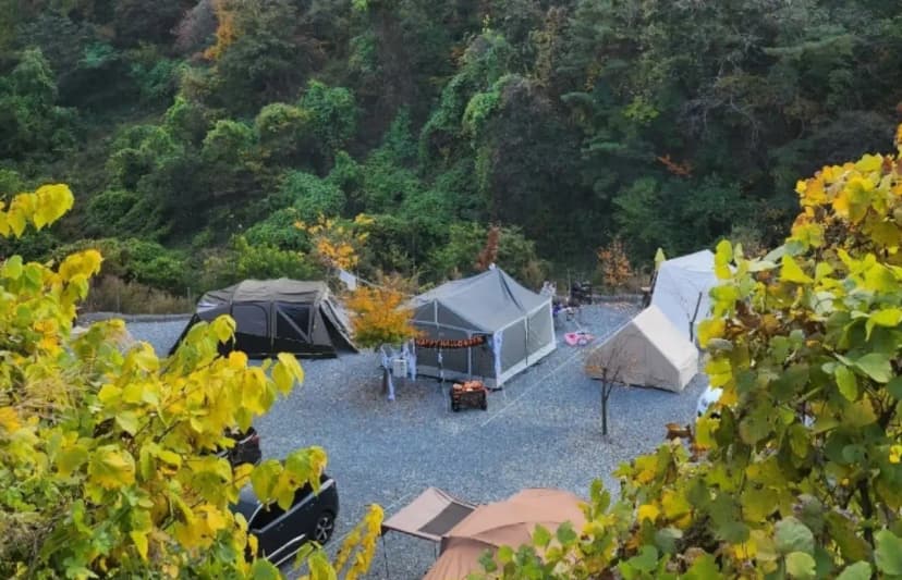 두더지CAMP 사진 18