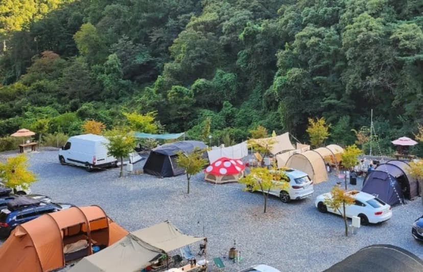 두더지CAMP 사진 19