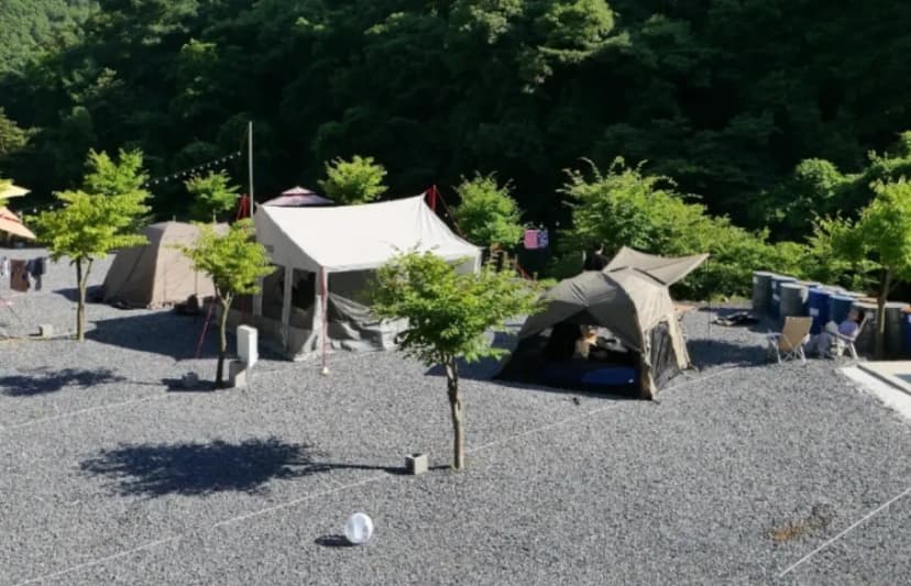 두더지CAMP 사진 20