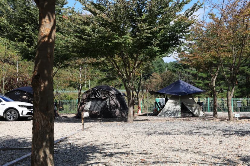 보랏빛오토캠핑장 사진 13