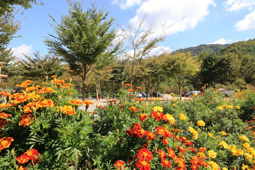 보랏빛오토캠핑장 사진 14