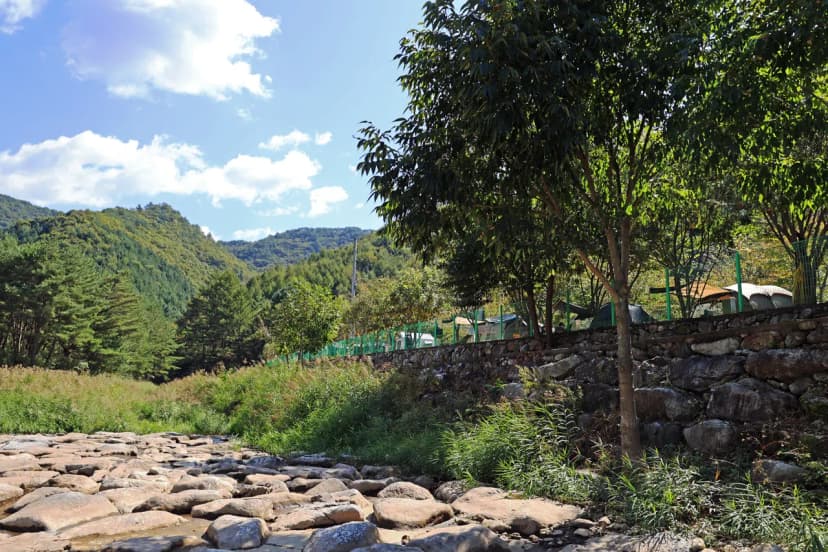보랏빛오토캠핑장 사진 20