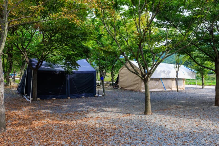 청도 사계절 캠핑장 사진 4