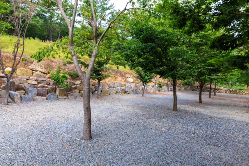 청도 사계절 캠핑장 사진 6