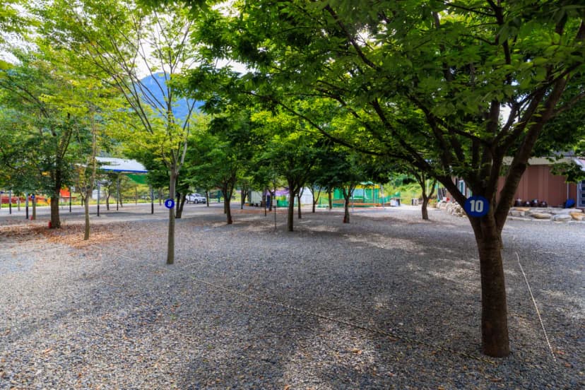 청도 사계절 캠핑장 사진 8