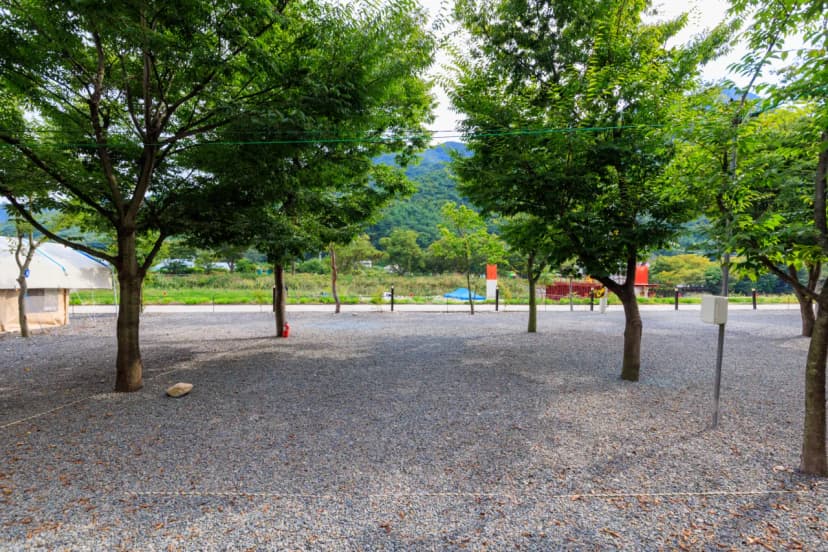 청도 사계절 캠핑장 사진 9