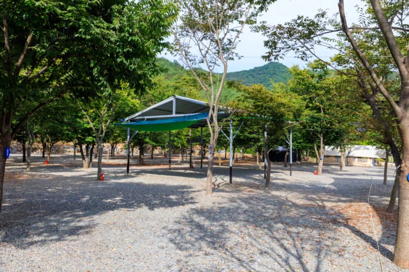 청도 사계절 캠핑장 사진 11