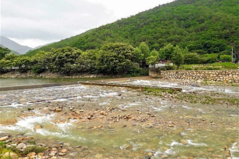 청도 사계절 캠핑장 사진 13