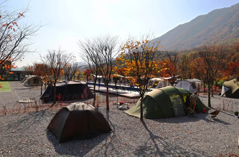캠프원 사진 9