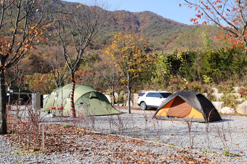 캠프원 사진 10