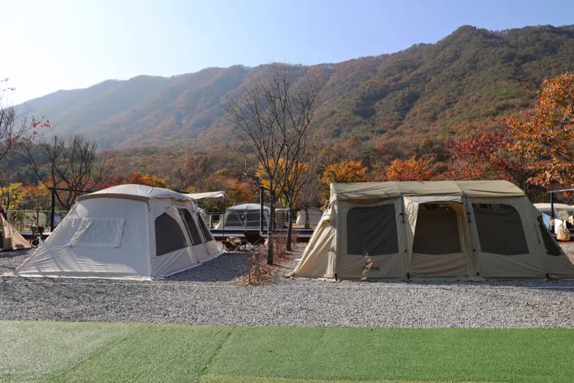 캠프원 사진 11