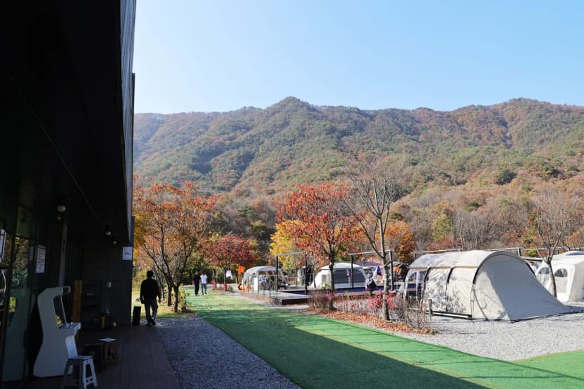캠프원 사진 15