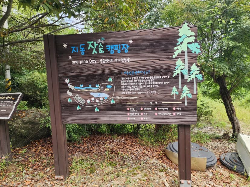 잣숲캠핑장 사진 2