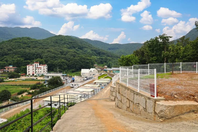 윈드힐캠핑장 사진 8