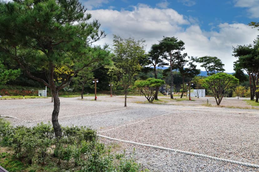 용화산테마파크 캠핑장 사진 4