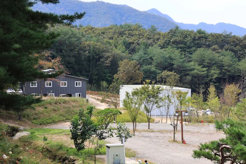 용화산테마파크 캠핑장 사진 5