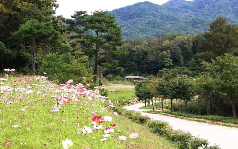 용화산테마파크 캠핑장 사진 14