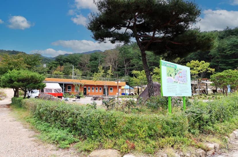 용화산테마파크 캠핑장 사진 19