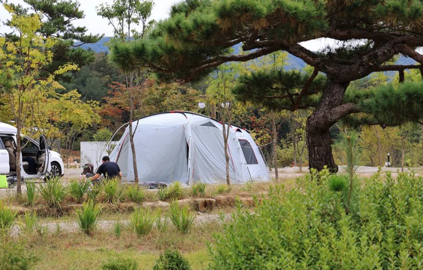 용화산테마파크 캠핑장 사진 20