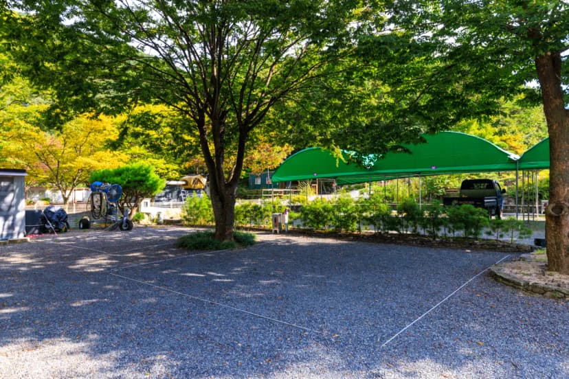 그로브(grove)캠핑 사진 4