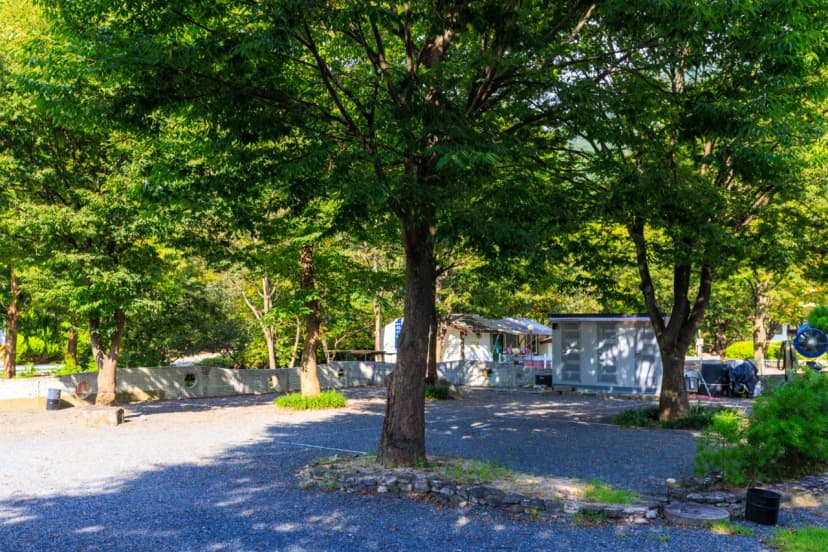 그로브(grove)캠핑 사진 5