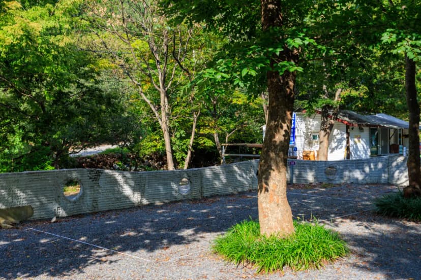 그로브(grove)캠핑 사진 6