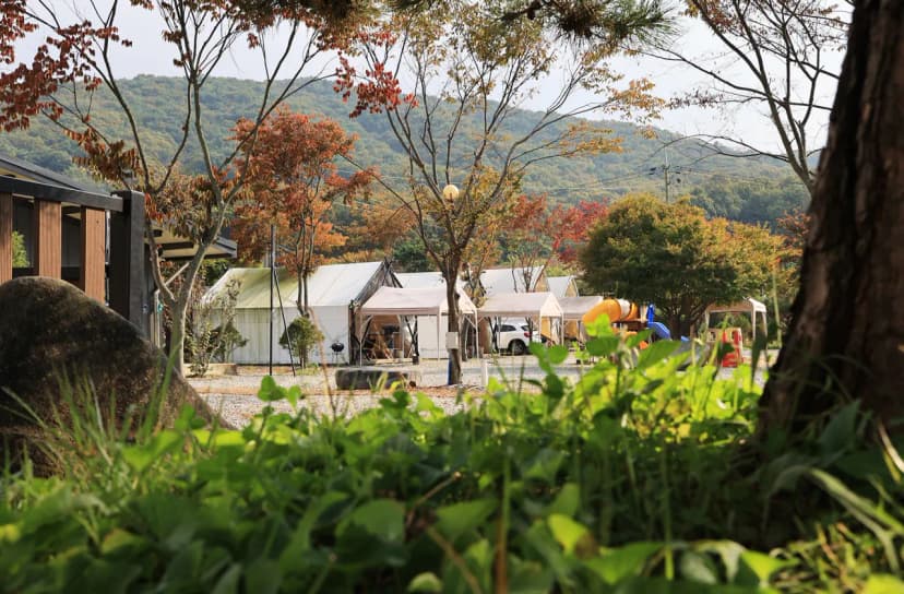 히든캠프 사진 15