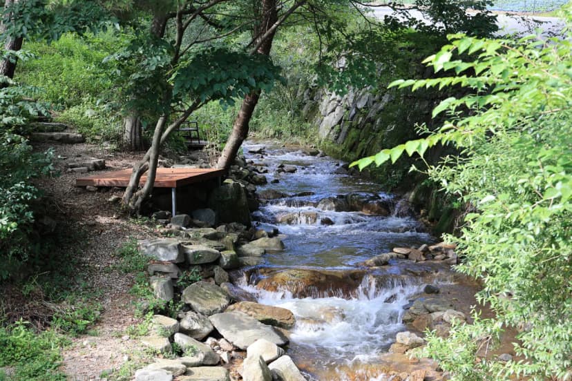 스탈릿캠핑펜션 사진 8