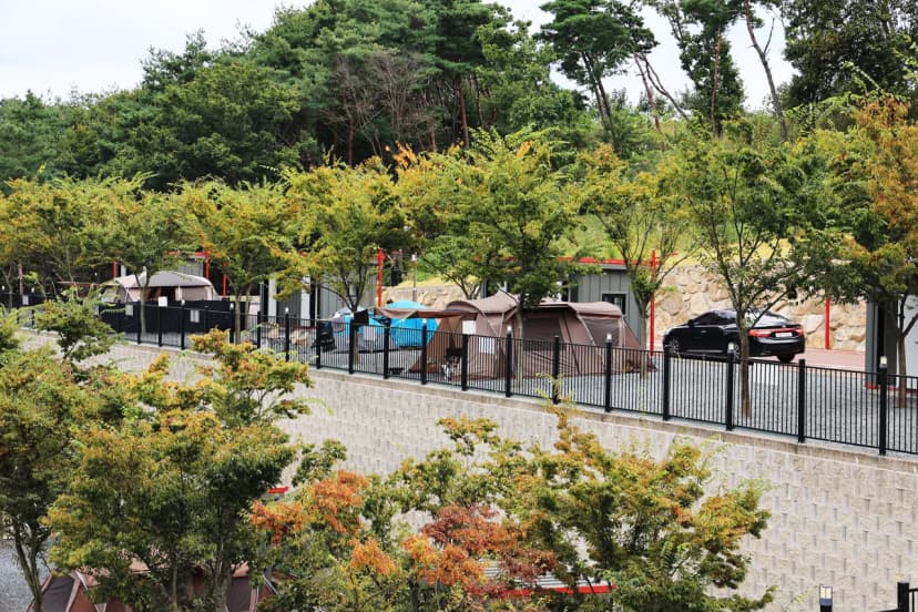신불산 베이스캠프 오토캠핑장 사진 11