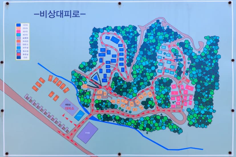 올레유 사진 21