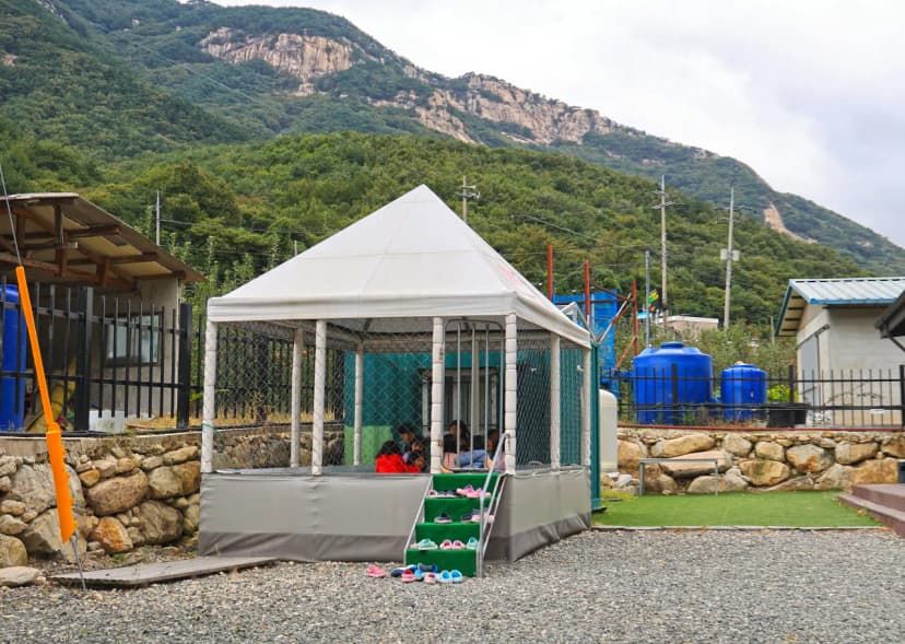 캠핑가는 날 사진 5