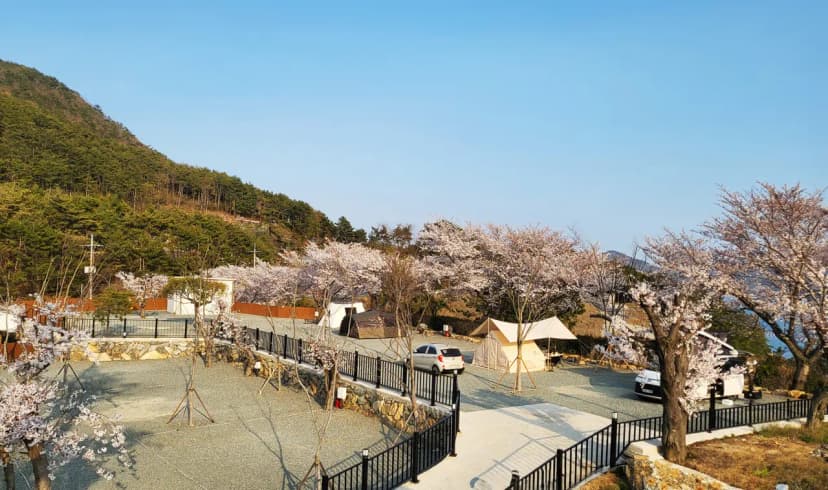 산달바다 캠핑장 사진 20