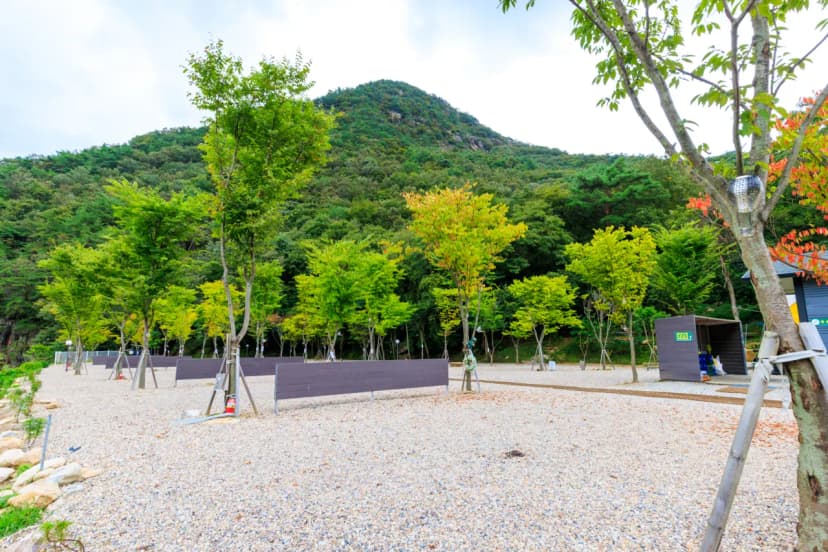 신월리 오토캠핑장 사진 5