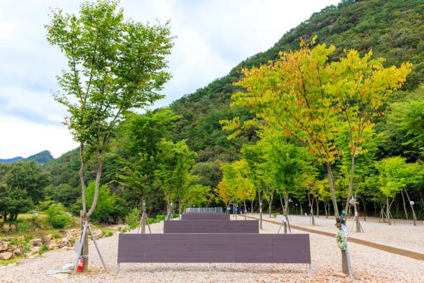 신월리 오토캠핑장 사진 7
