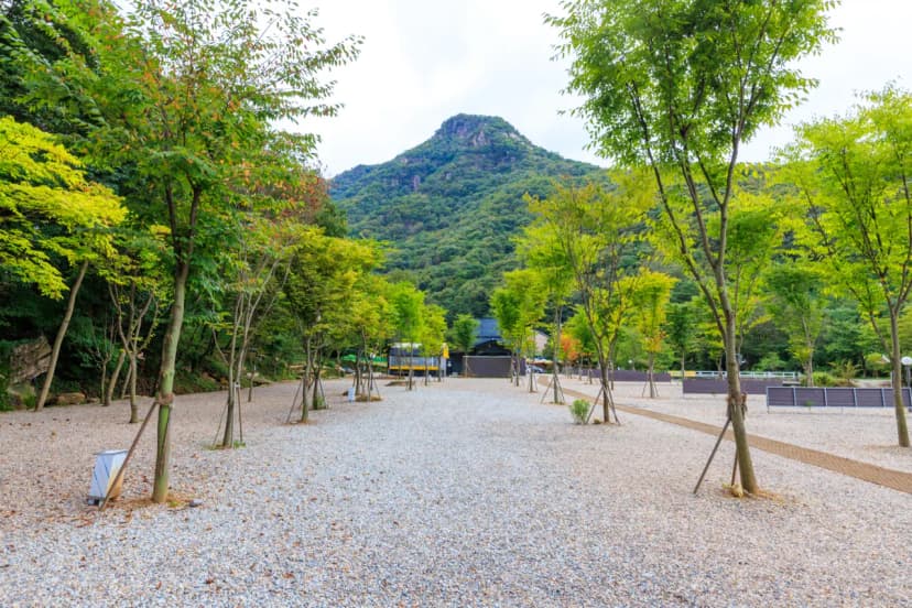 신월리 오토캠핑장 사진 8