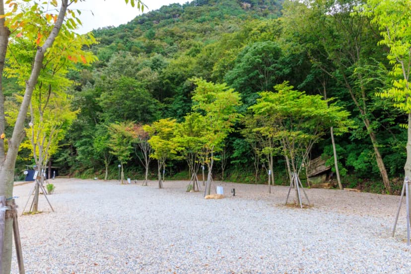 신월리 오토캠핑장 사진 9