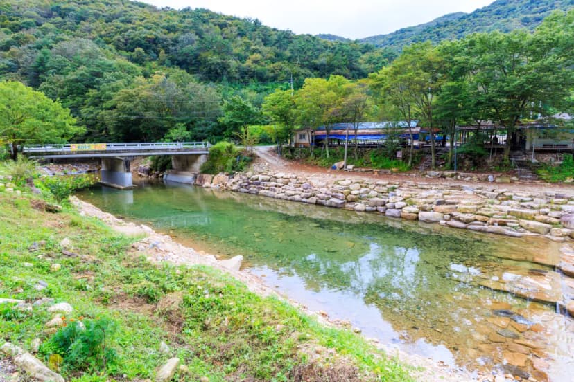 신월리 오토캠핑장 사진 16