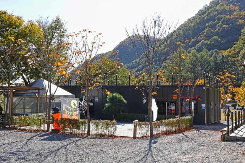 캠프99 사진 17