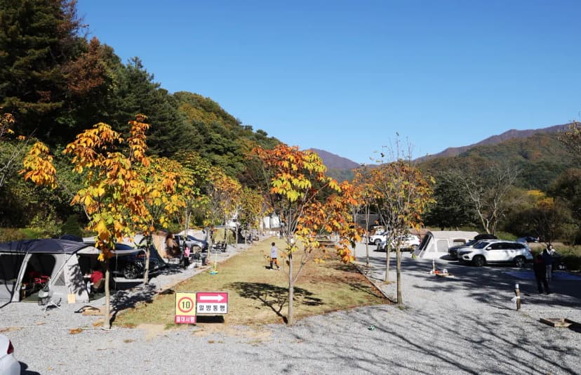 캠프99 사진 19