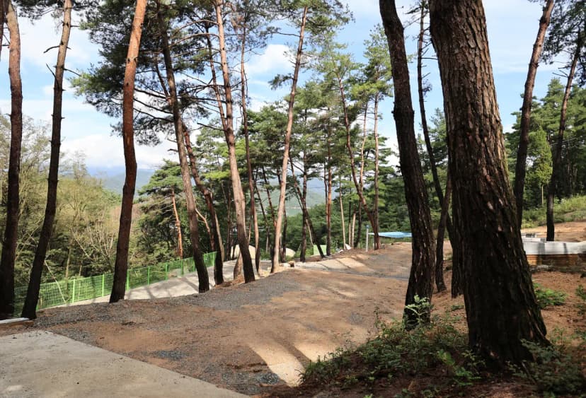 현대야영장 사진 14