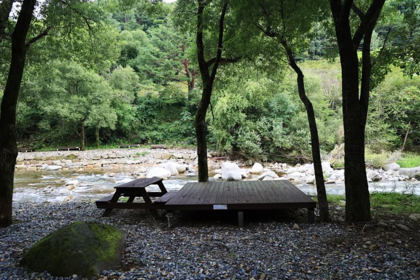 상동 장산 야영장 사진 8