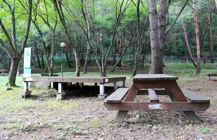 상동 장산 야영장 사진 10