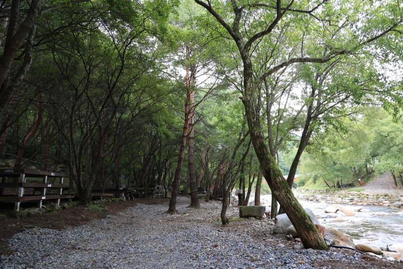 상동 장산 야영장 사진 11