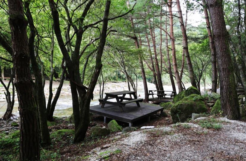 상동 장산 야영장 사진 15