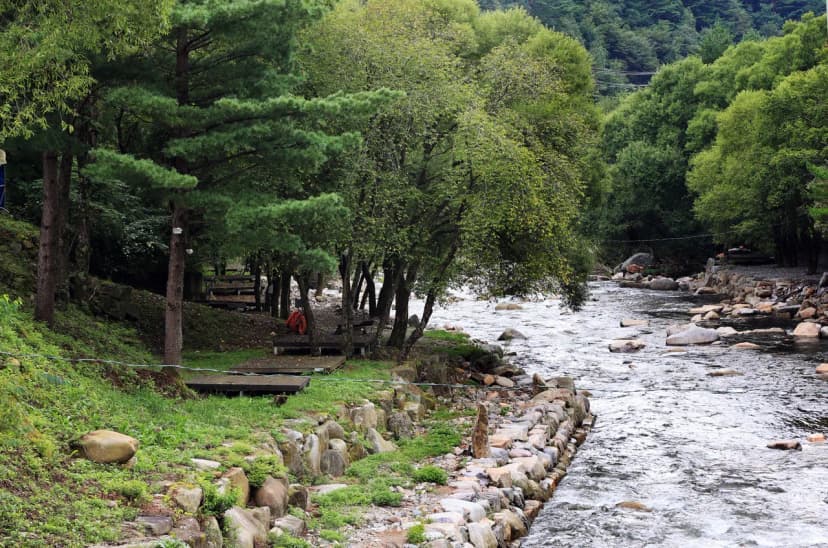 상동 장산 야영장 사진 18
