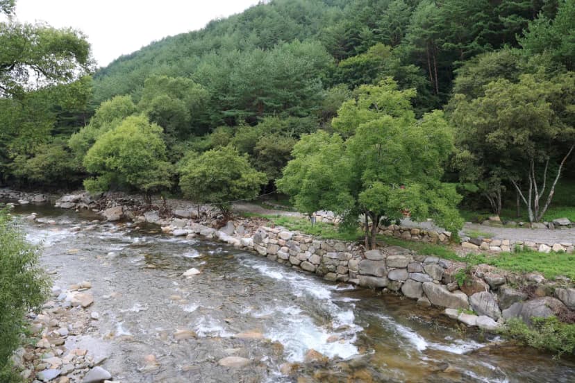 상동 장산 야영장 사진 21