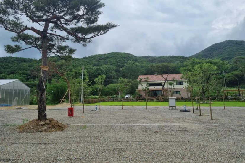 소리의섬 사진 14