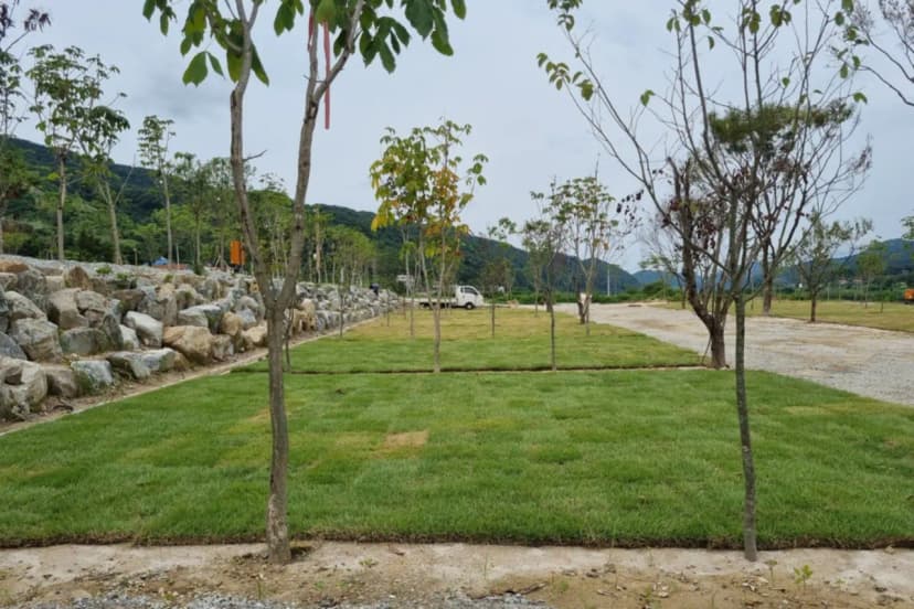 소리의섬 사진 16
