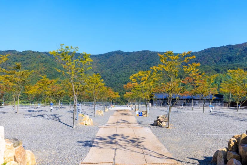 문두리 캠핑장 사진 12